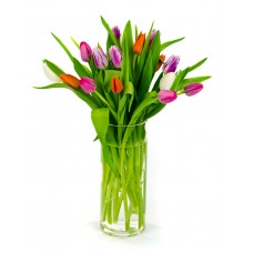 Virginia Tulips